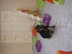 waiting area preparing12